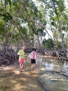 Mousha's mangrove site-snorkeling top day adventure