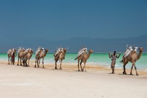 salt-flat-lake-assal