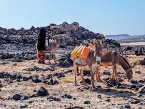 lake abbe-a highlight of djibouti's top day adventure