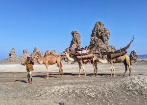 volcano landscape-uniquetrips in djibouti's top adventure