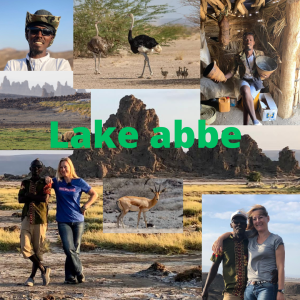 lake abbe-a highlight of djibouti's top day adventure